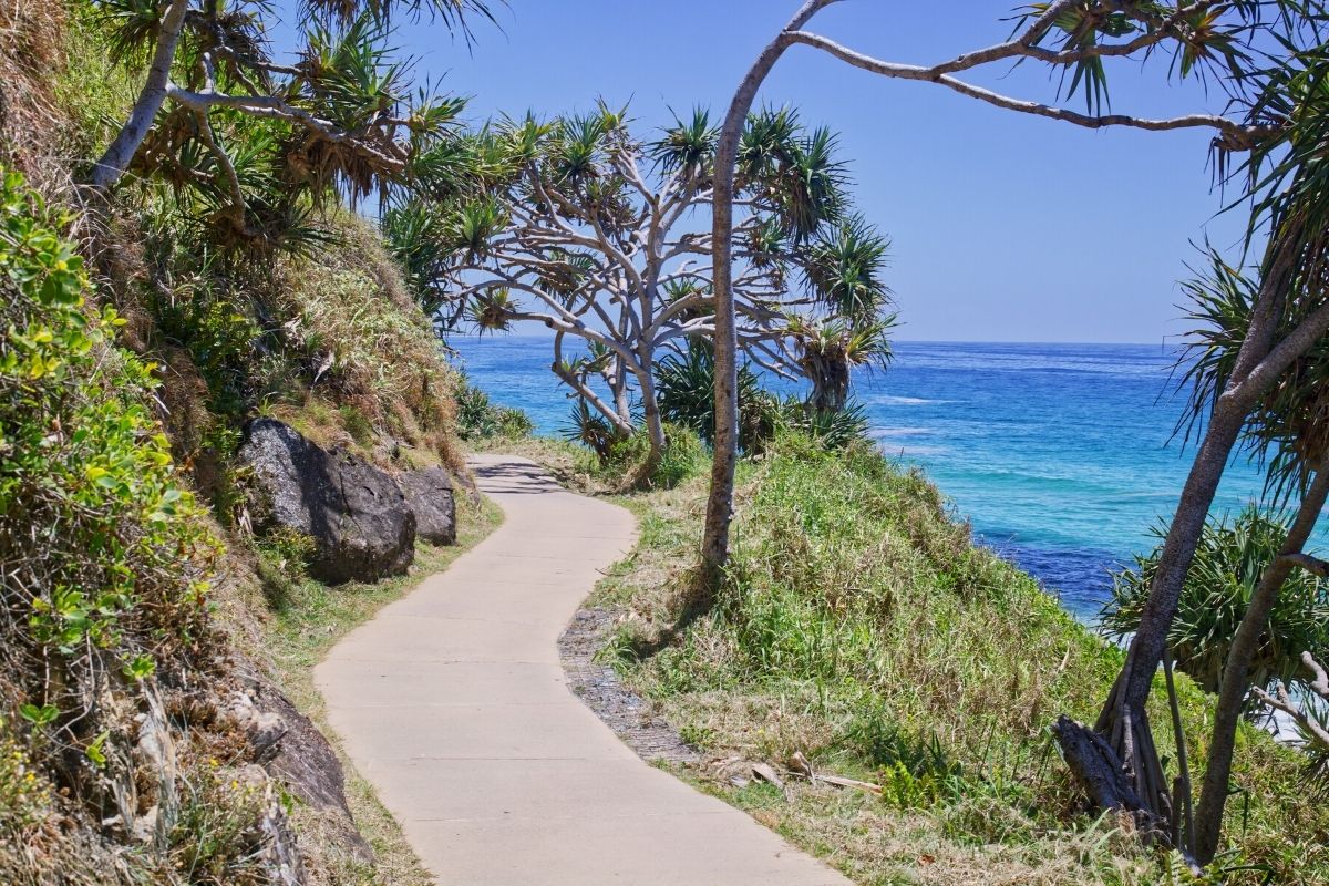 can you take dogs to burleigh beach