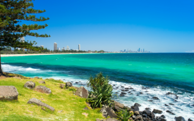 Gold Coast Winter Fun: Activities and Attractions